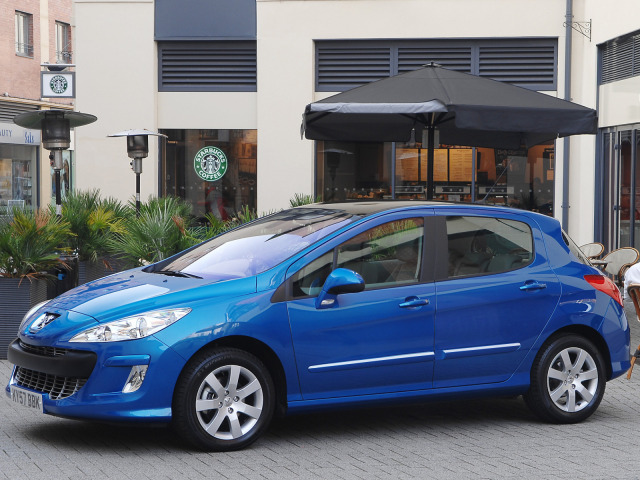 Chrome side protection trim Peugeot 308 0713