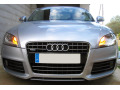 Radiator grill chrome trim compatible with Audi TT S&eacute;rie 2 06-14 Audi TT RS Audi TTS