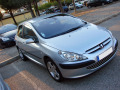 Radiator grill chrome trim compatible with Peugeot 307 01-05 Peugeot 307 CC 01-05 Peugeot 307 SW 01-05