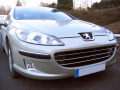 Radiator grill chrome trim compatible with Peugeot 407 & Peugeot 407 SW horizontal