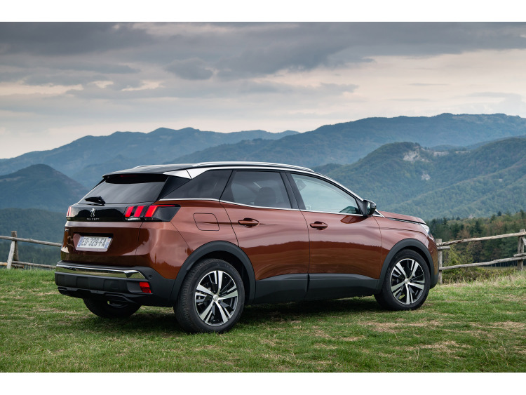 Side windows lower chrome trim Peugeot 3008 II (16-20)