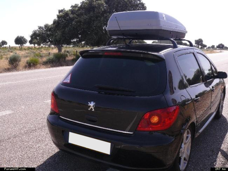 Trunk chrome trim Peugeot 106 107 108 205 206 plus + 306 307 308 406 407 806 807 1007 3008 4007 4008