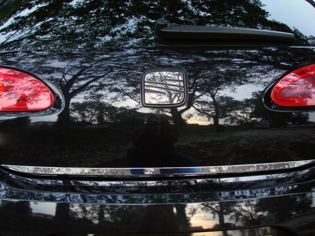 Trunk chrome trim